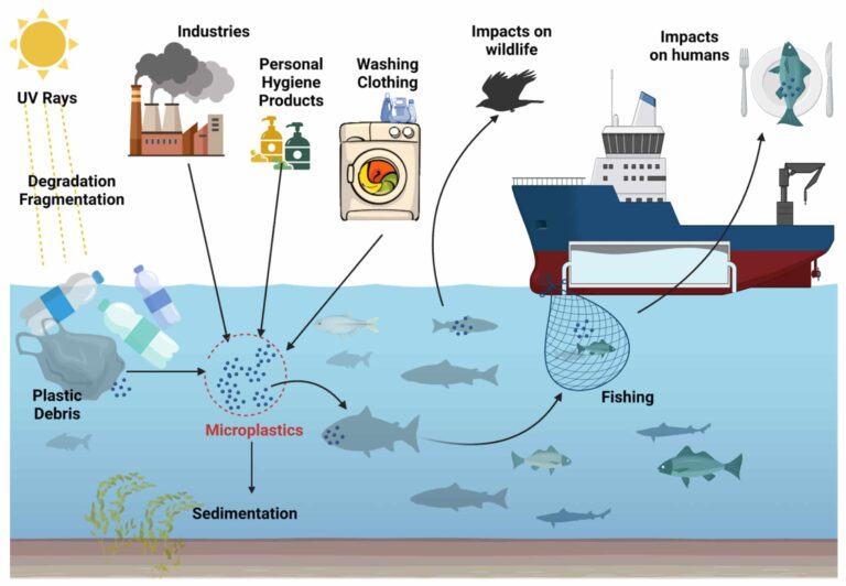 Can Ozone Reduce Microplastics in Water? What Studies Show