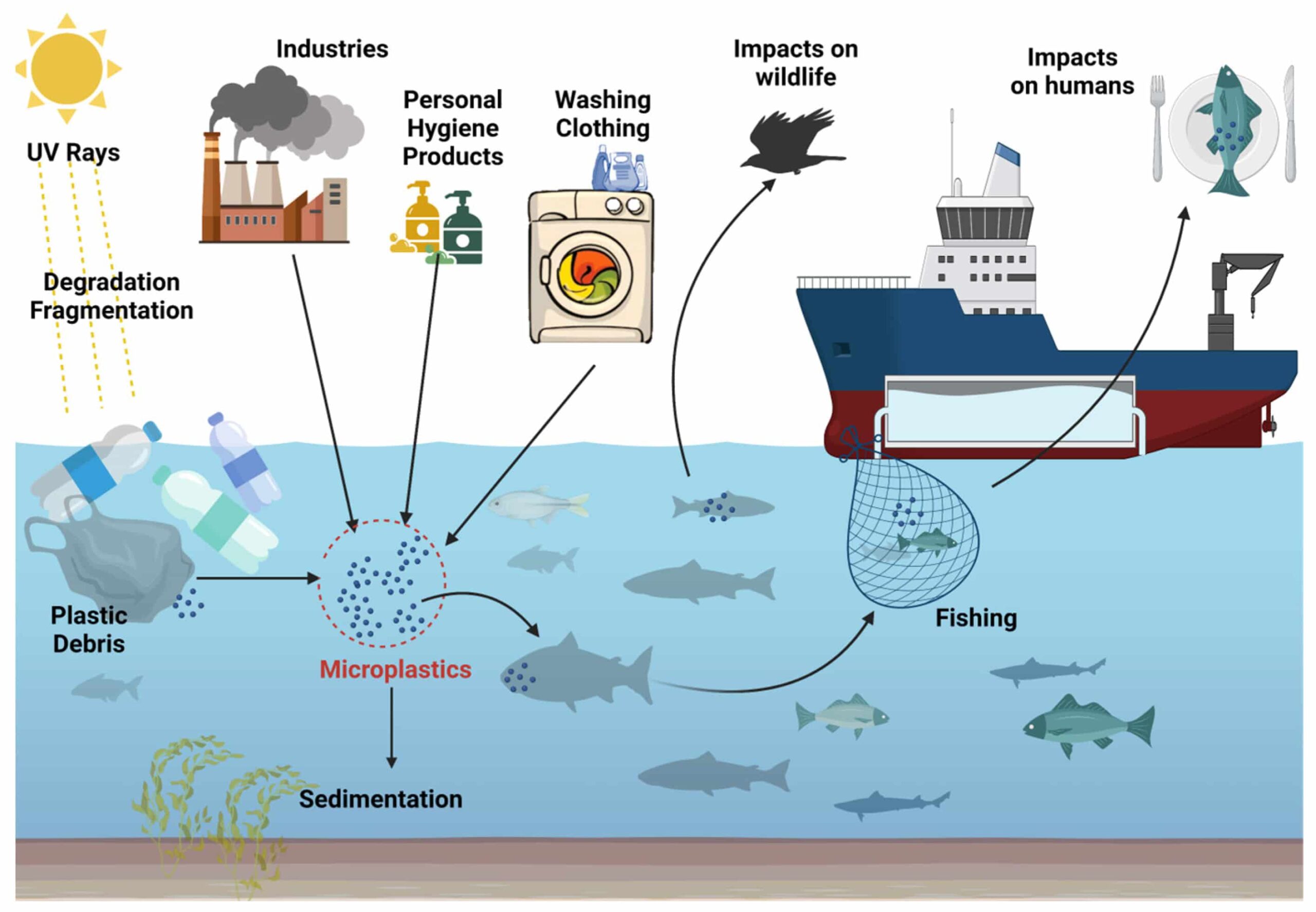 Can Ozone Reduce Microplastics in Water? What Studies Show