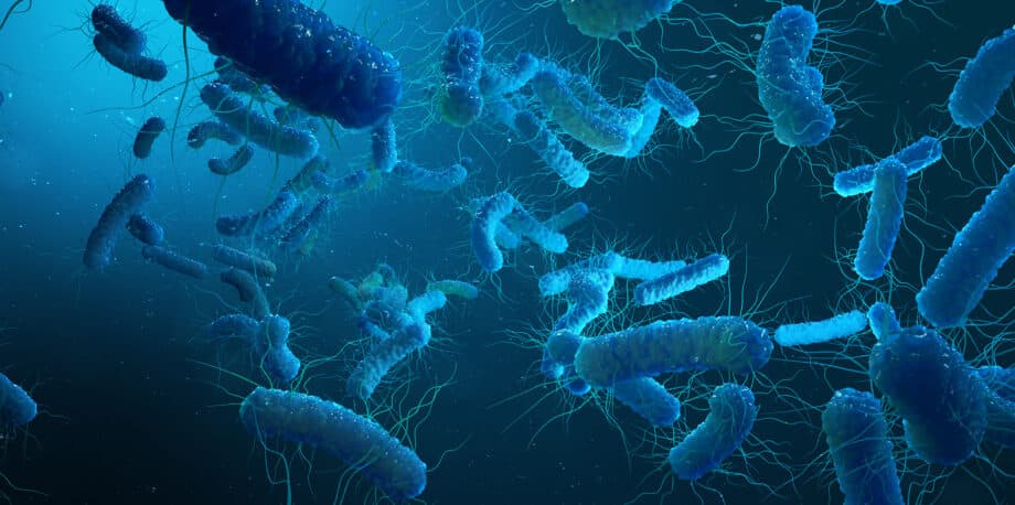 Breaking: EPA Announces Updated Waterborne Pathogen Guidelines